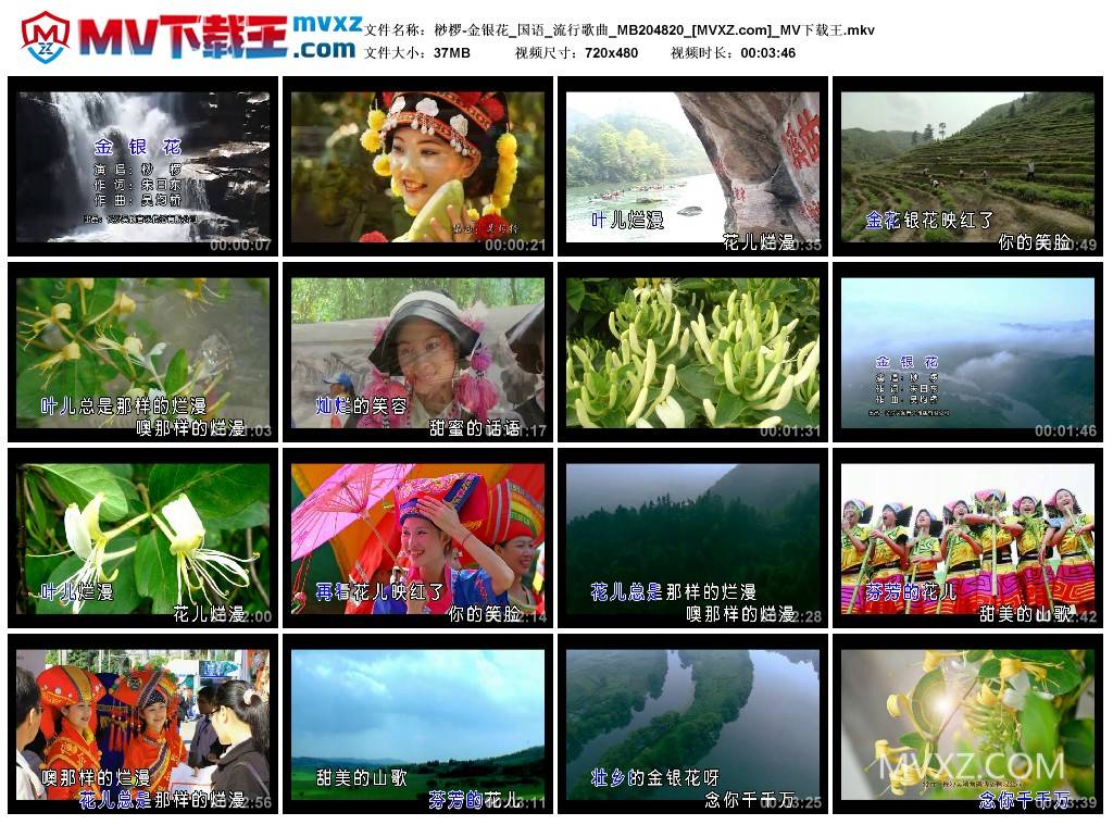 桫椤-金银花_国语_流行歌曲_MB204820